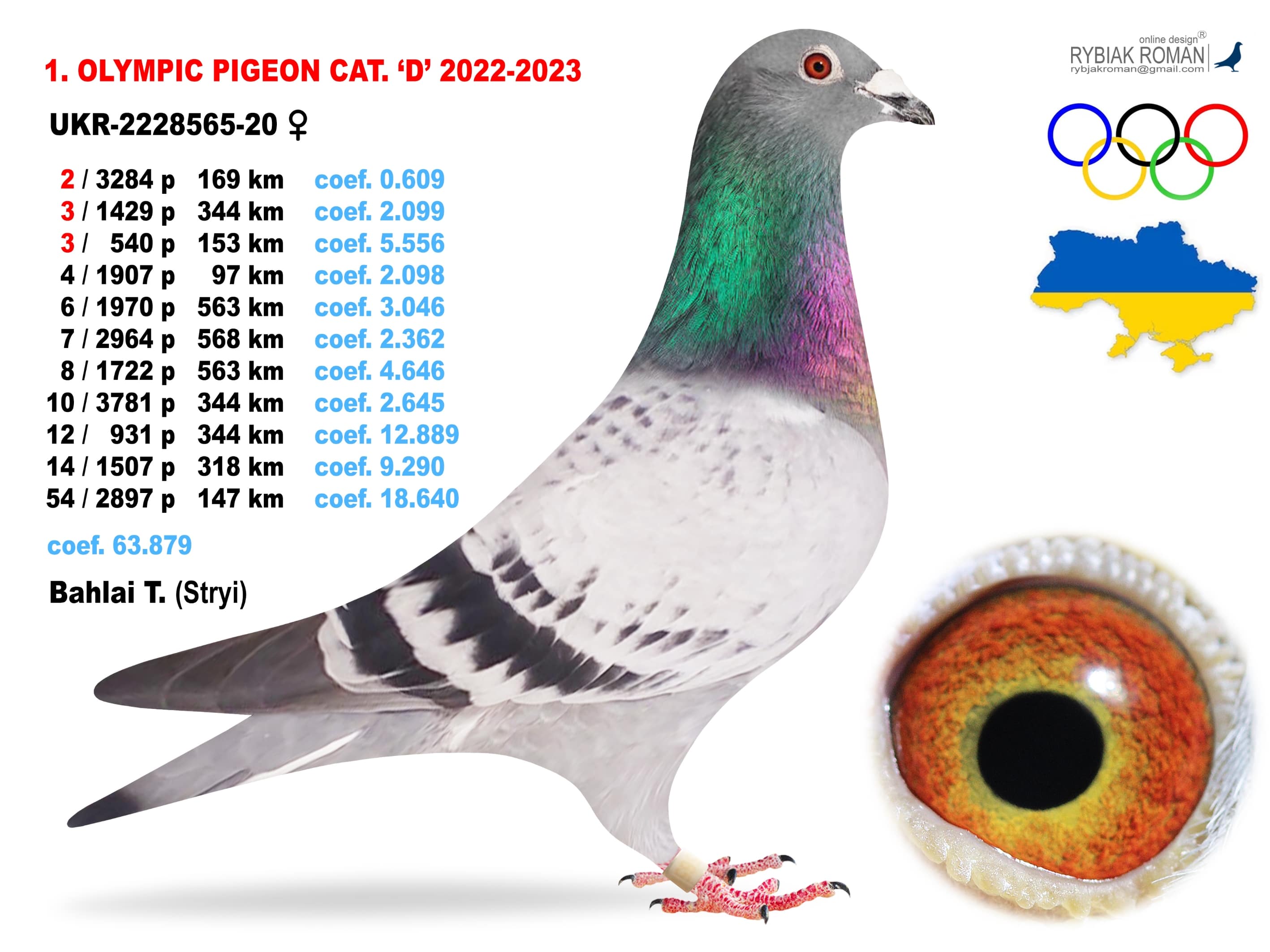2023-D1